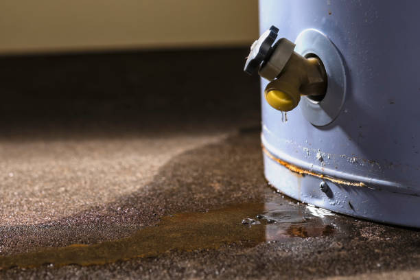 Best Sewage cleanup and water damage restoration  in Colfax, IL