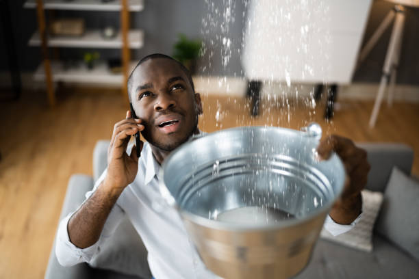 Best Flood damage cleanup  in Colfax, IL