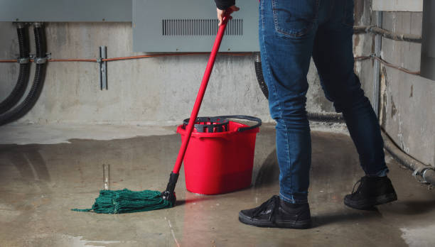 Best Flood damage cleanup  in Colfax, IL