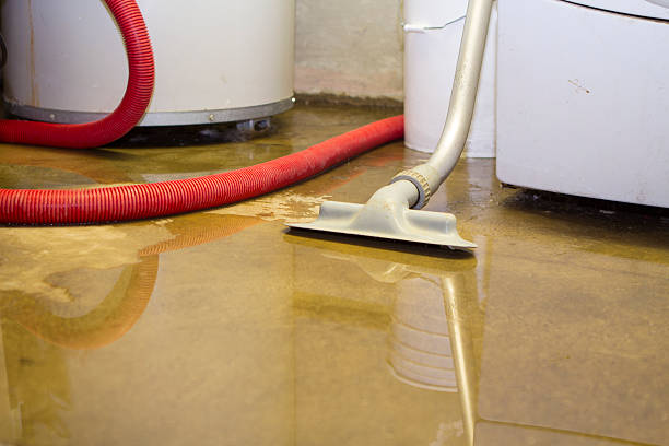 Best Basement water damage restoration  in Colfax, IL