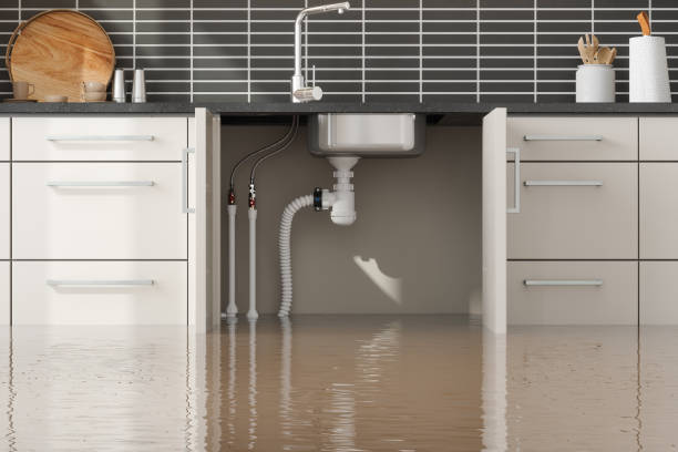 Best Water damage restoration near me  in Colfax, IL